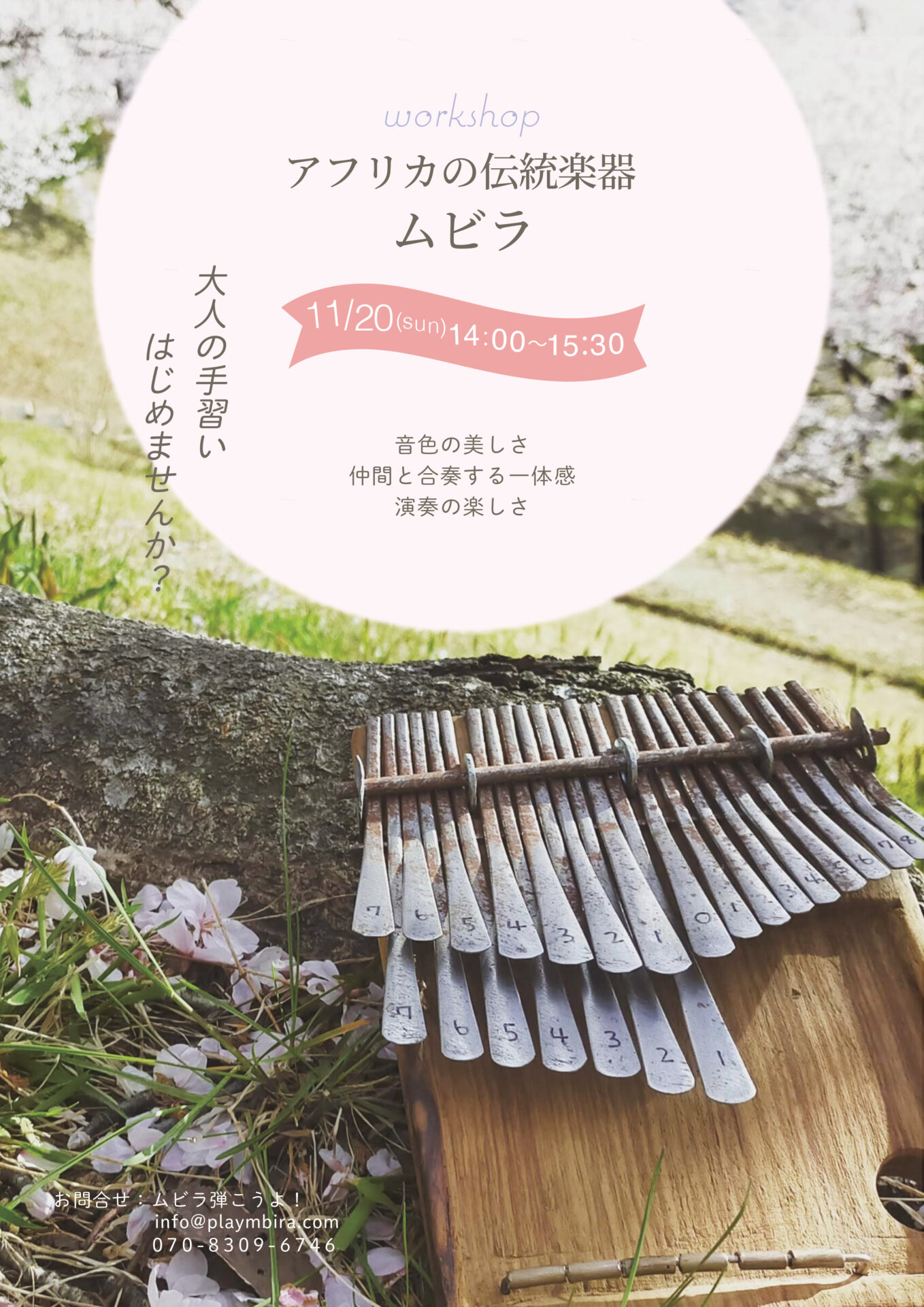 フライヤー